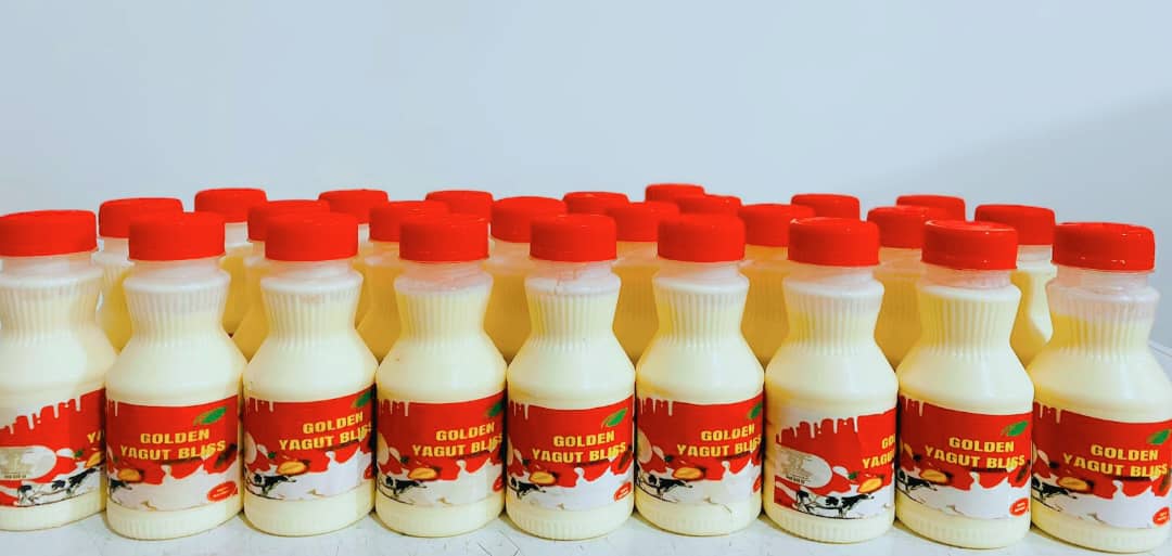 GOLDEN YAGURT BLISS 